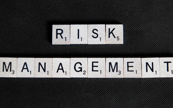 Blocks that say "risk management"