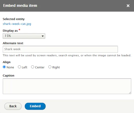 Embed media item prompt window showing selected media file, display as percentage size, alt text field, alignment and caption